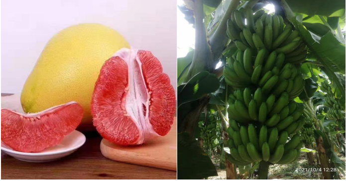 Create ecological health, maintain biodiversity and promote harmony between man and nature