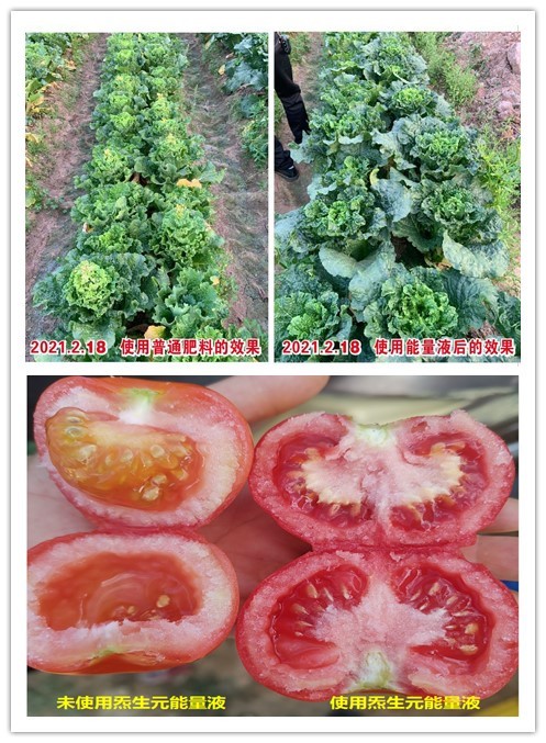 Create ecological health, maintain biodiversity and promote harmony between man and nature